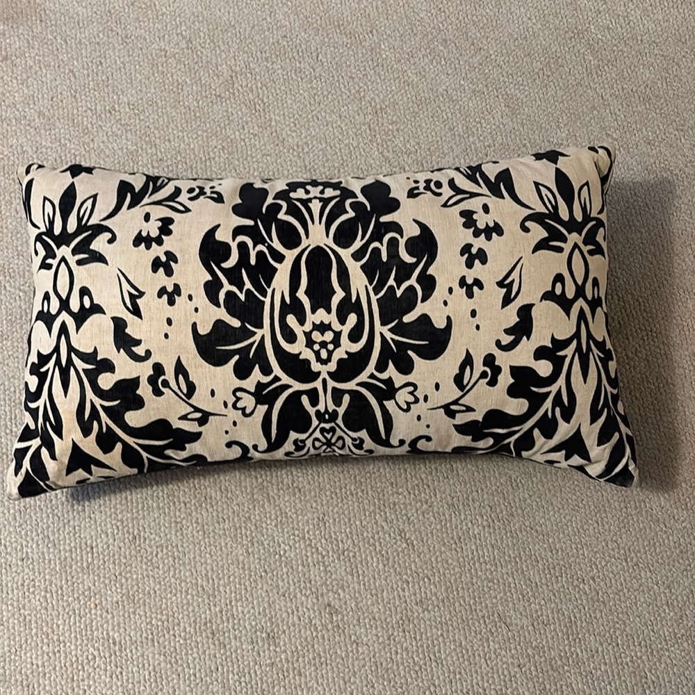 Gorgeous cream & black pillow. Design is velvet on linen, back is black velvet